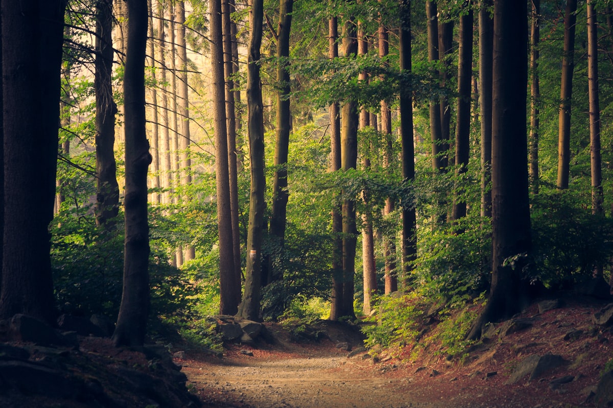 Best Parks Near Indianapolis Neighborhoods